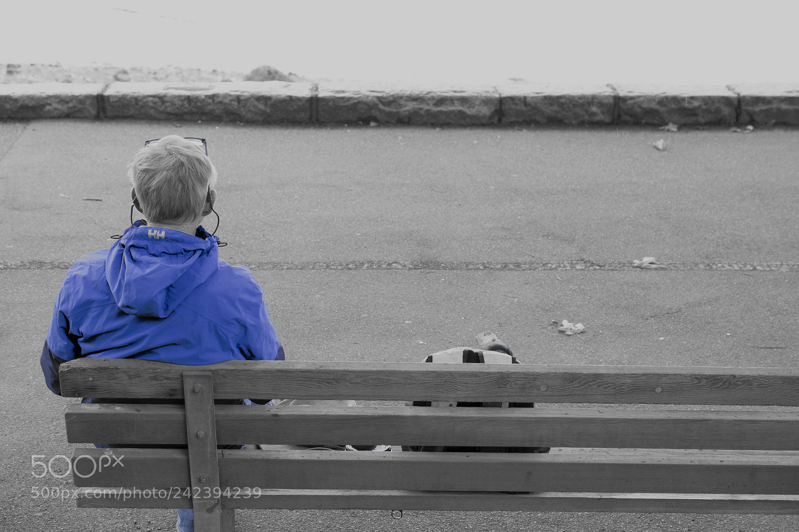 Nikon D800 sample photo. Sampaulesi daystanley park photography