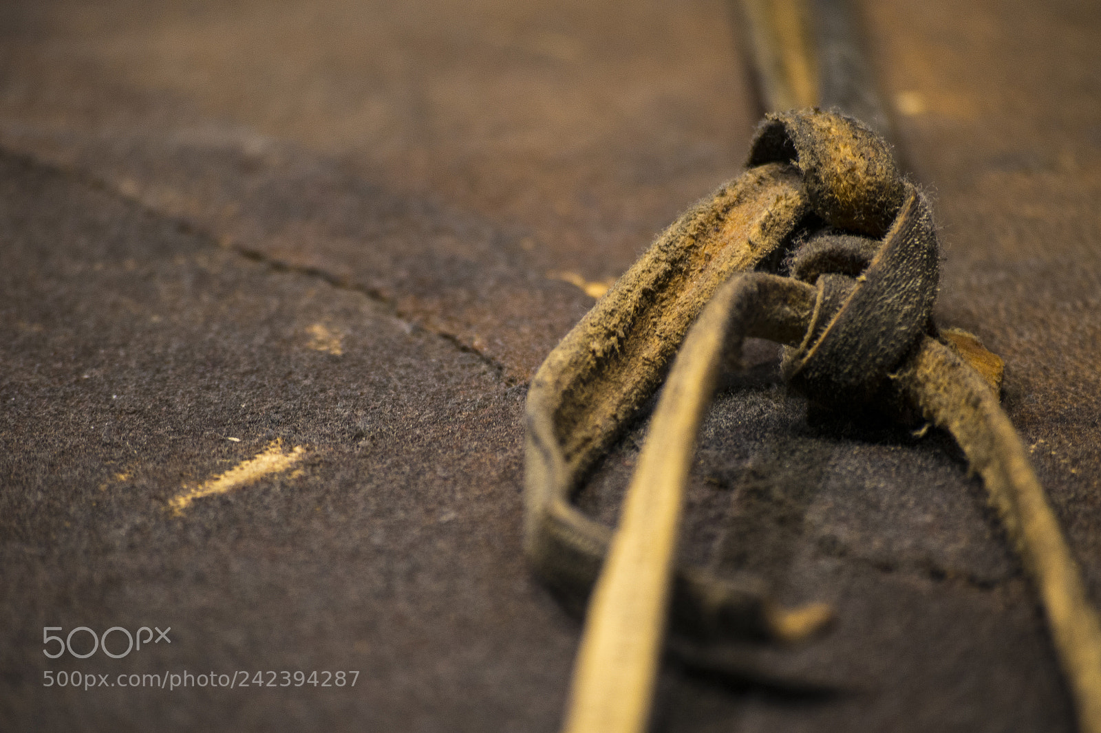 Nikon D800 sample photo. Sampaulesi daymuseum photography
