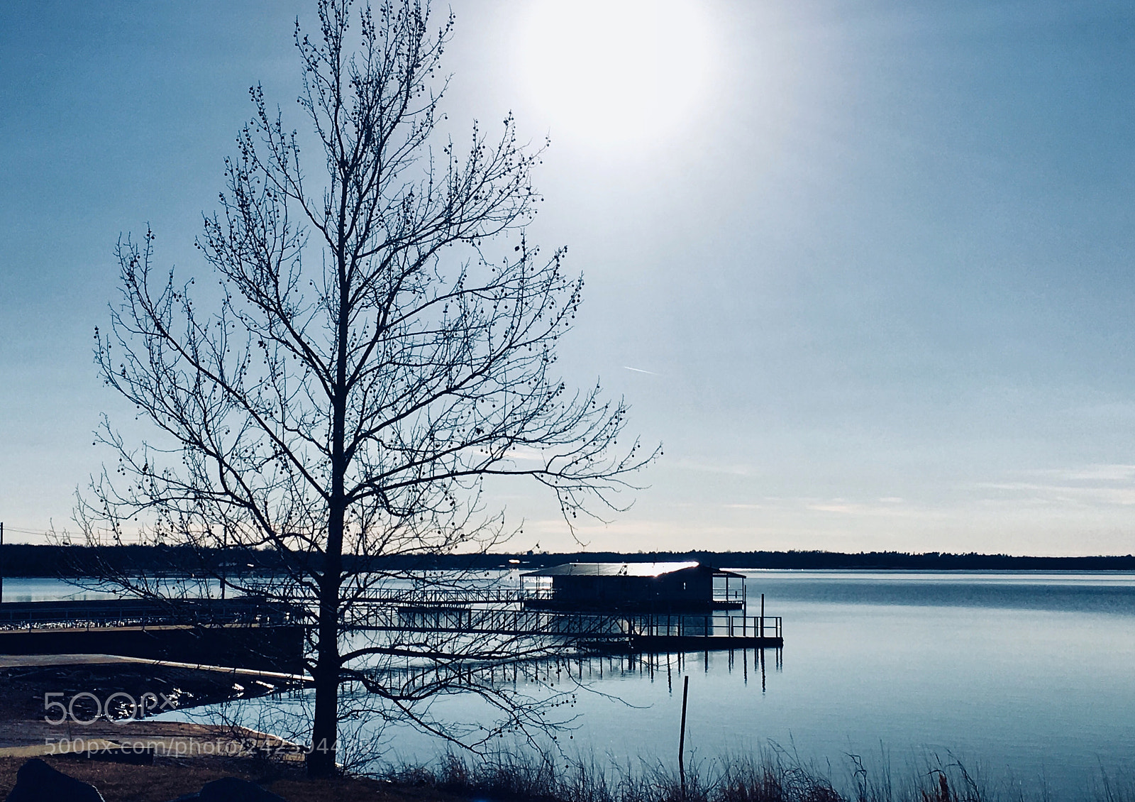 Apple iPhone 6s sample photo. A rare, sunny, january photography