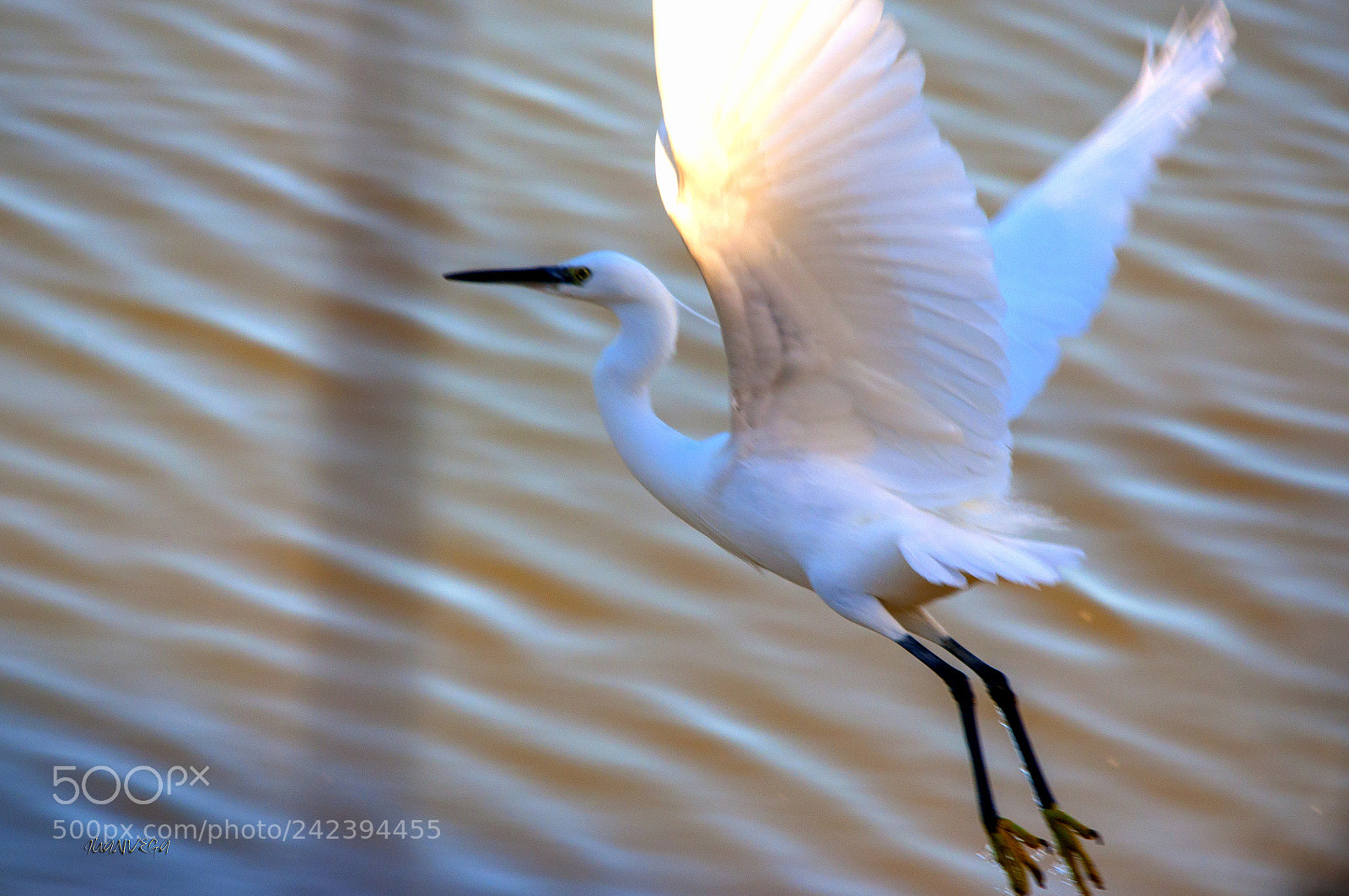 Nikon D90 sample photo. Vuelo photography