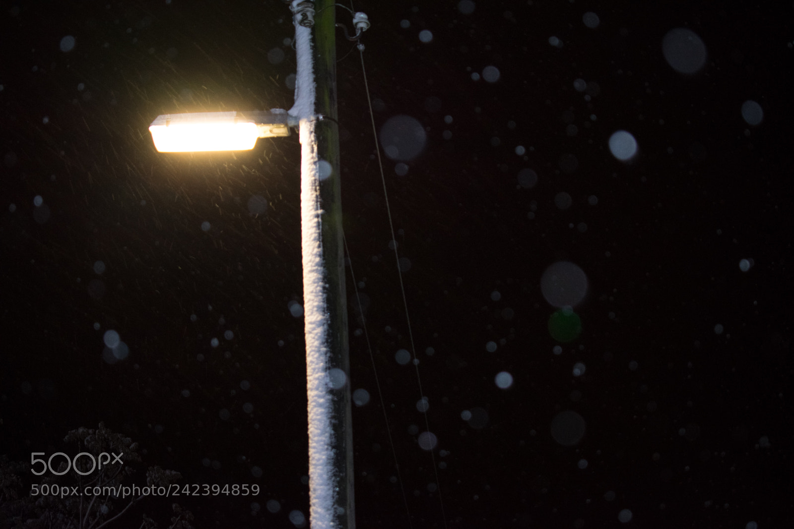Nikon D3400 sample photo. It's snowing again photography