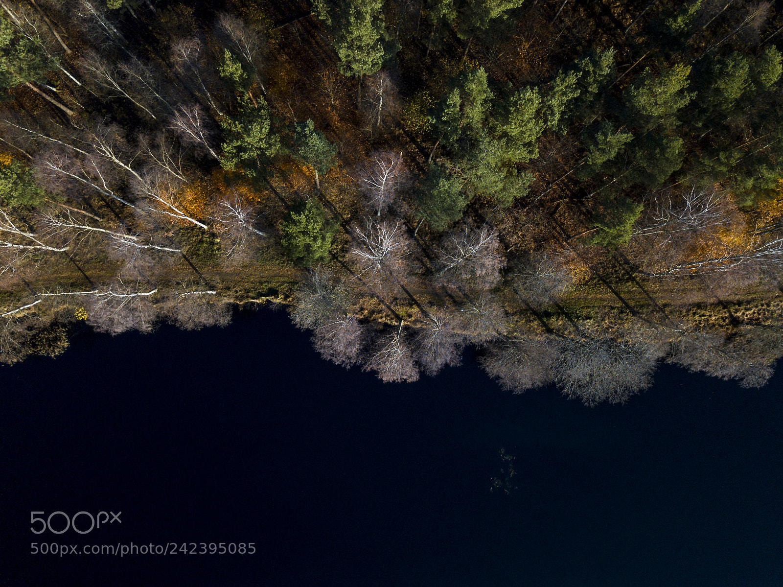 DJI FC220 sample photo. Just a beautiful autumn photography