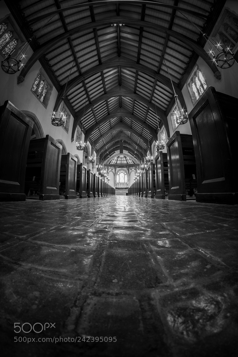 Fujifilm X-T1 sample photo. Floor to ceiling web photography
