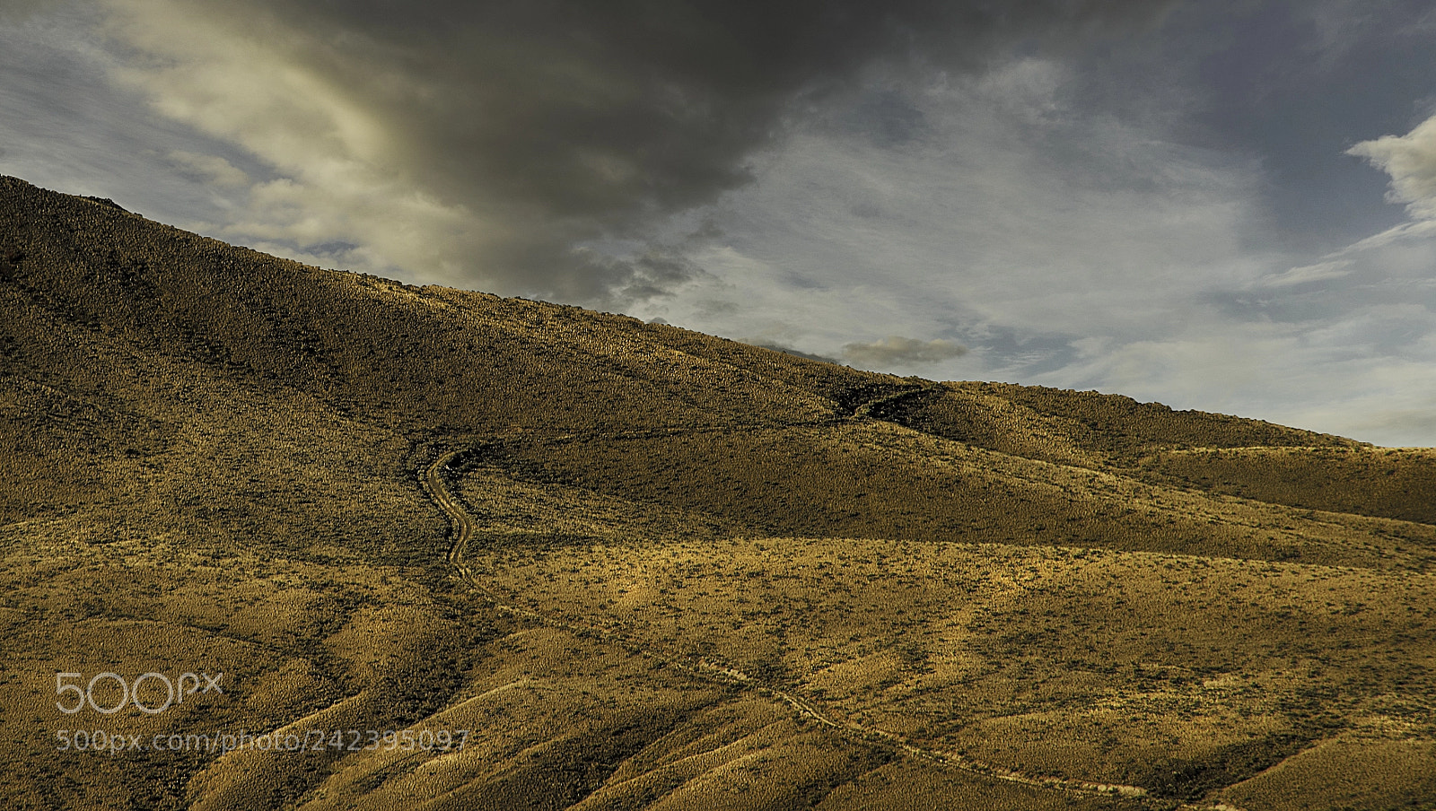 Sony a7R sample photo. Arid road photography