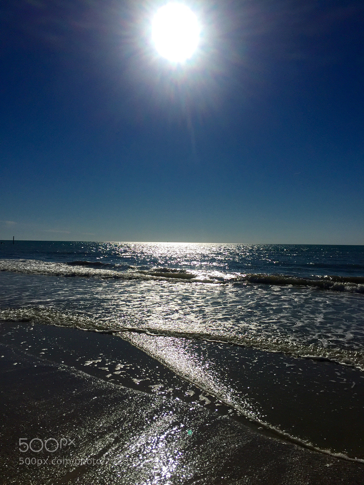 Apple iPhone 6 sample photo. Solitude photography
