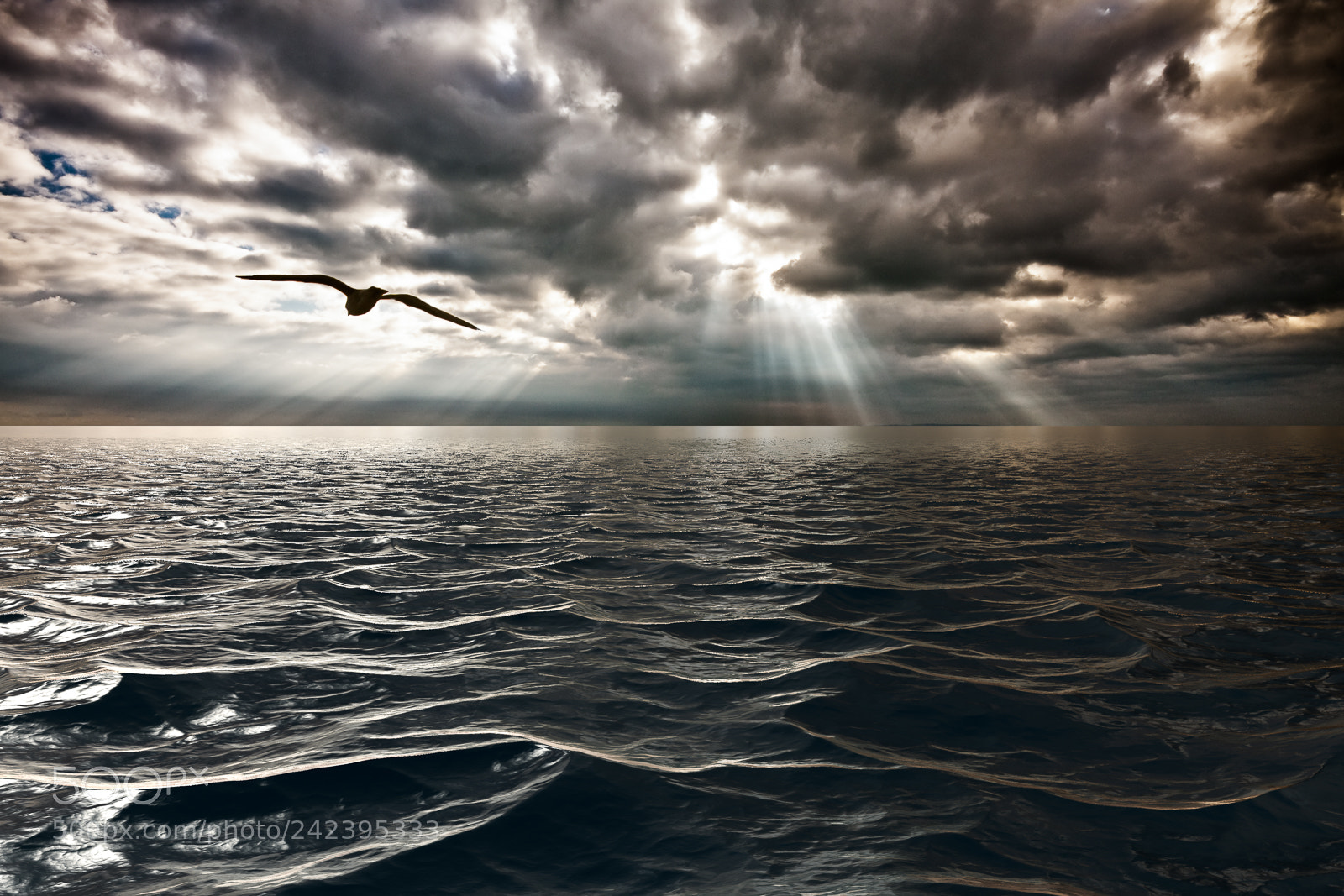 Canon EOS 40D sample photo. Choppy waters photography