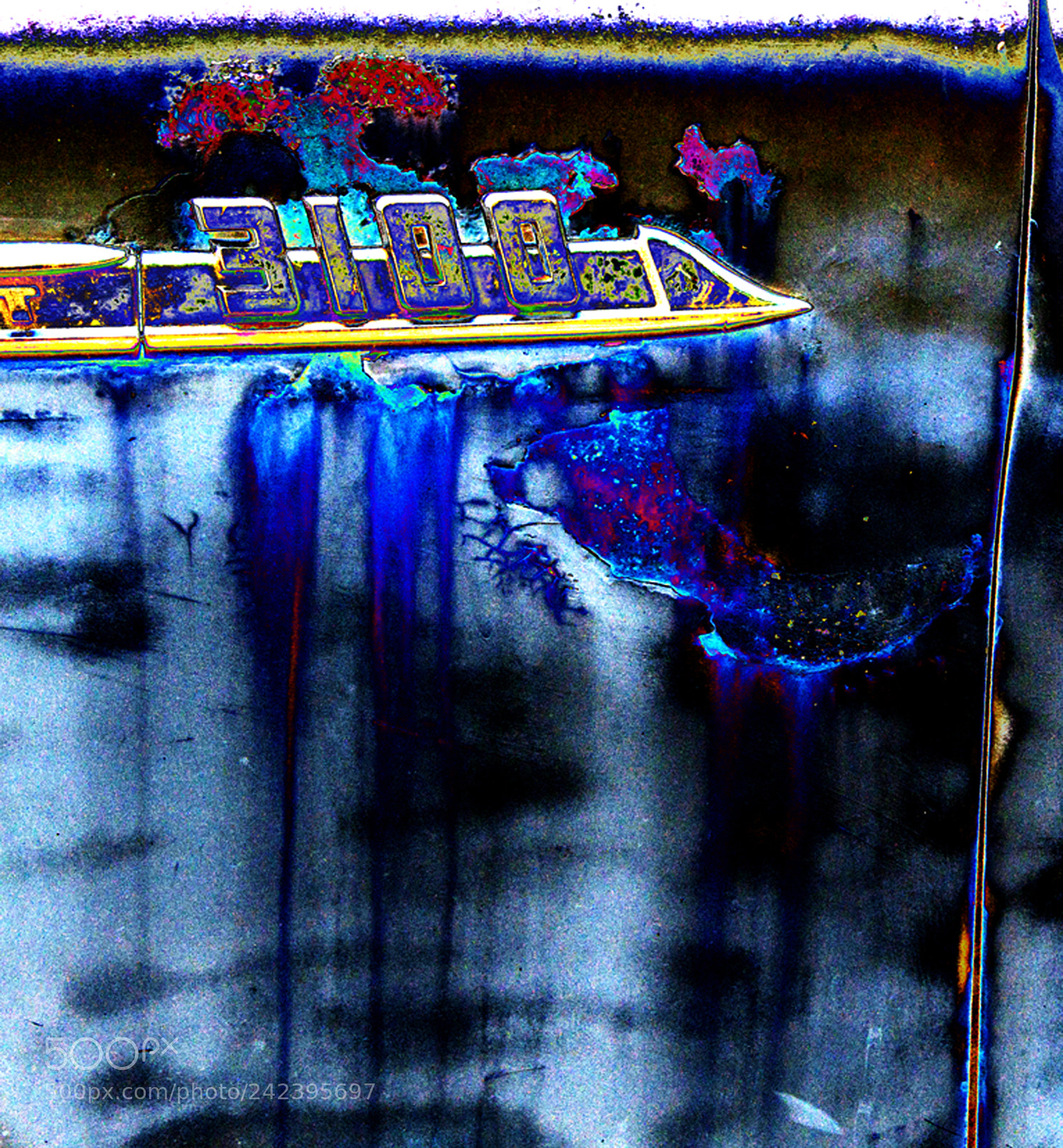 Nikon D90 sample photo. Untitled photography