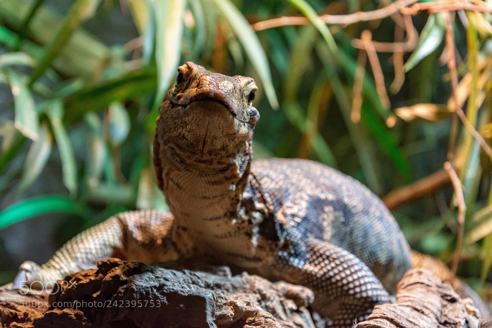 Nikon D7200 sample photo. Are you looking at photography