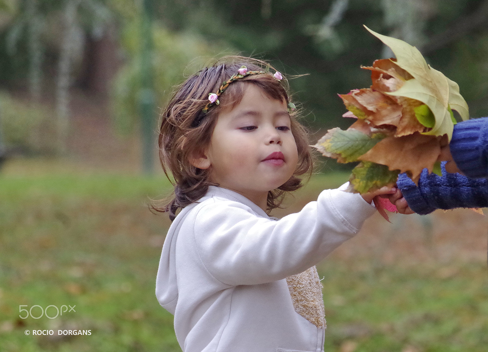 Pentax K-30 sample photo. Children photography