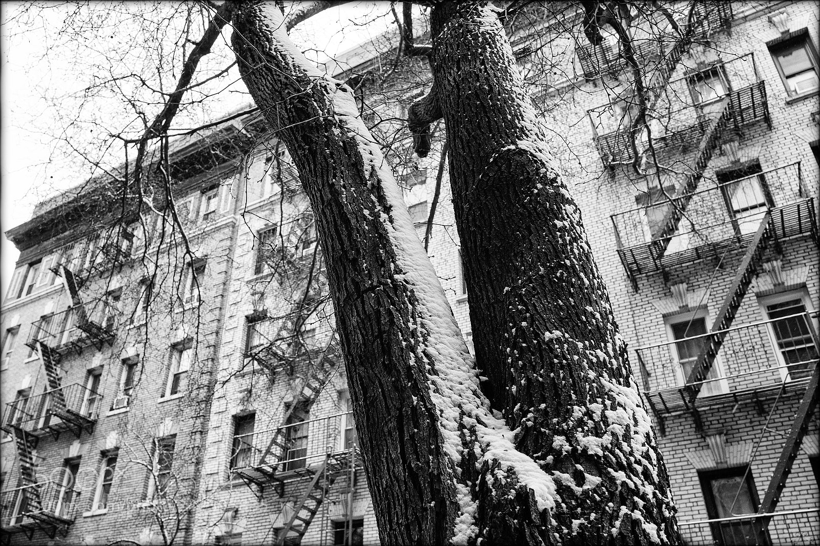 Leica Q (Typ 116) sample photo. Fire escapes of new photography