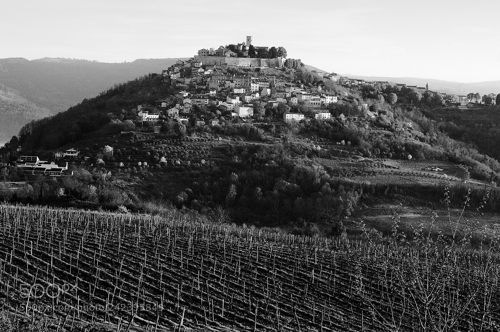 Pentax K20D sample photo. Motovun photography