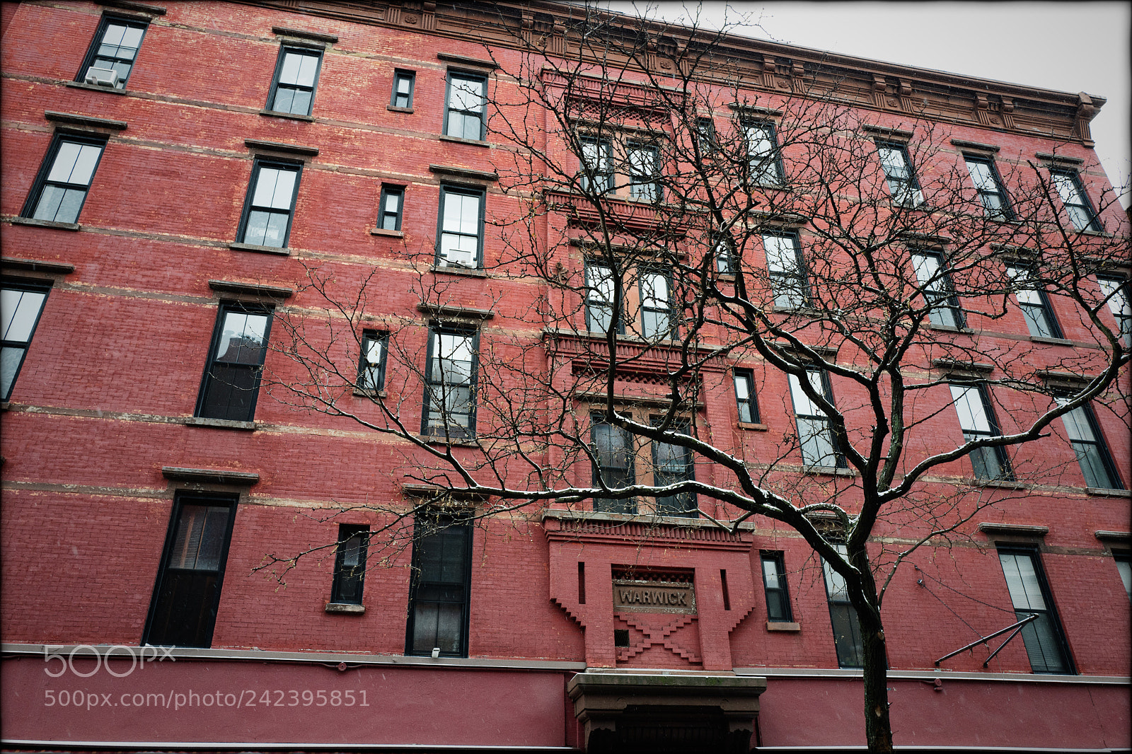 Leica Q (Typ 116) sample photo. Trees of new york photography