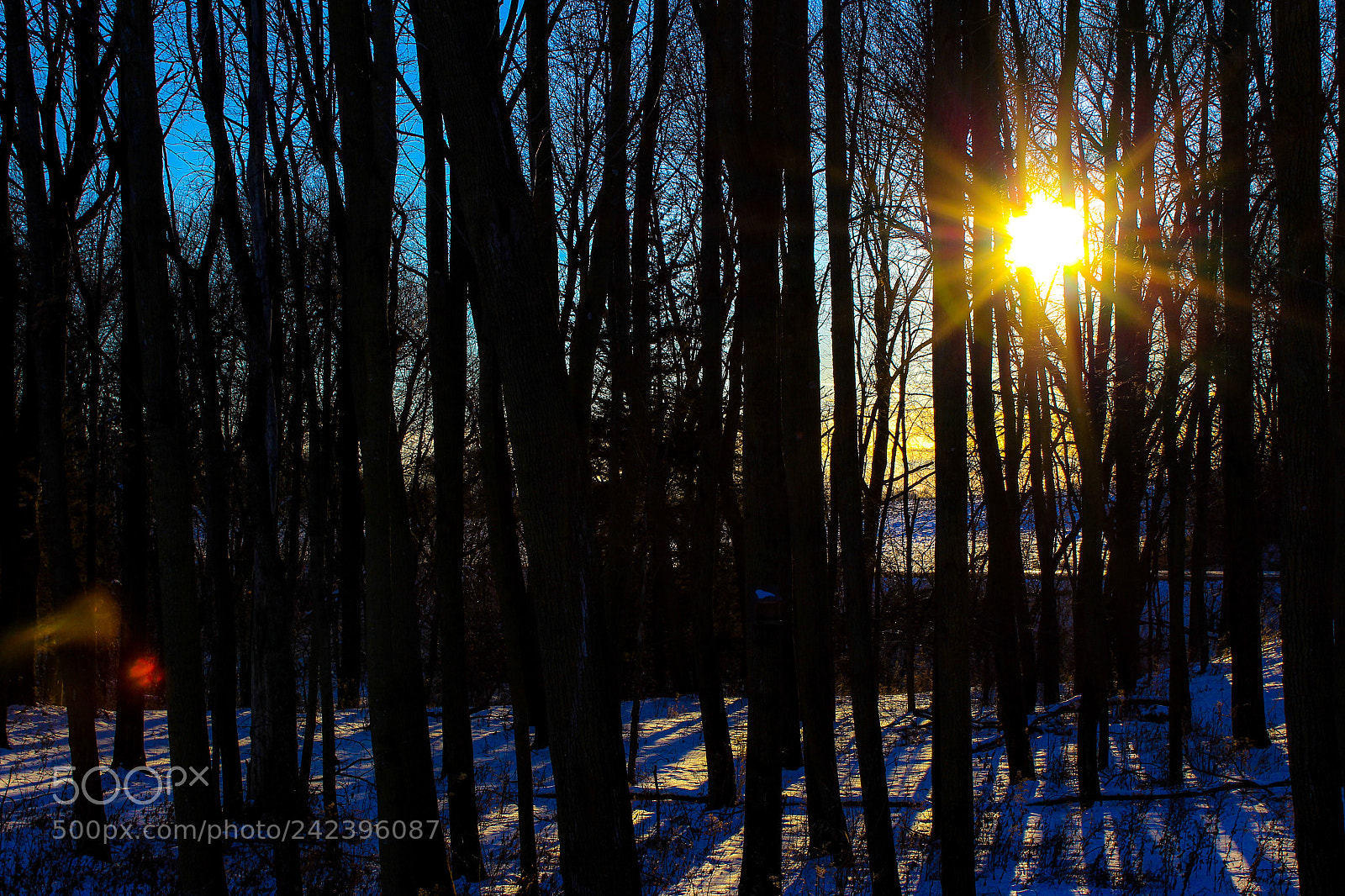 Canon EOS 1200D (EOS Rebel T5 / EOS Kiss X70 / EOS Hi) sample photo. “minnesota sunrise” photography