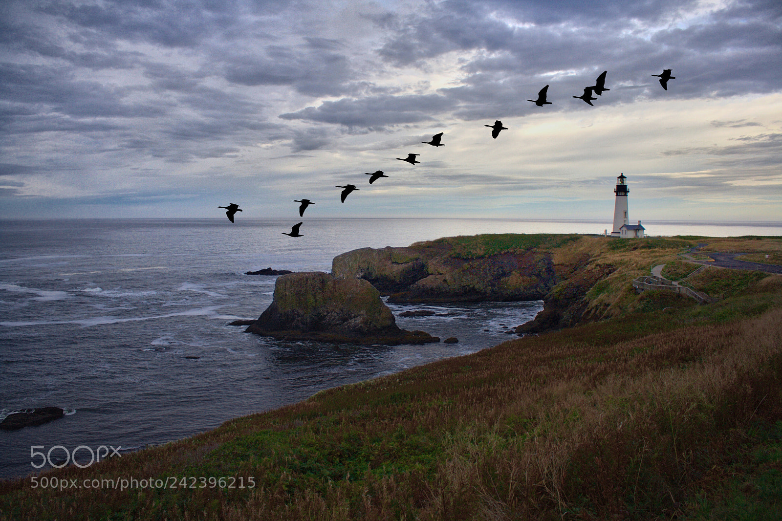 Canon EOS 350D (EOS Digital Rebel XT / EOS Kiss Digital N) sample photo. Yaquina lighthouse photography