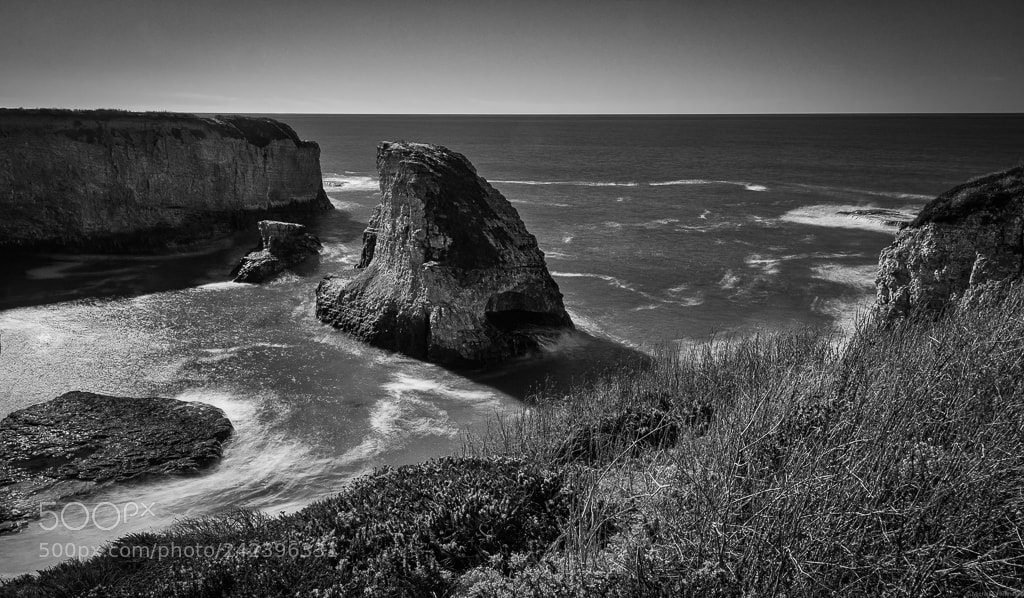Nikon D850 sample photo. Shark fin cove photography