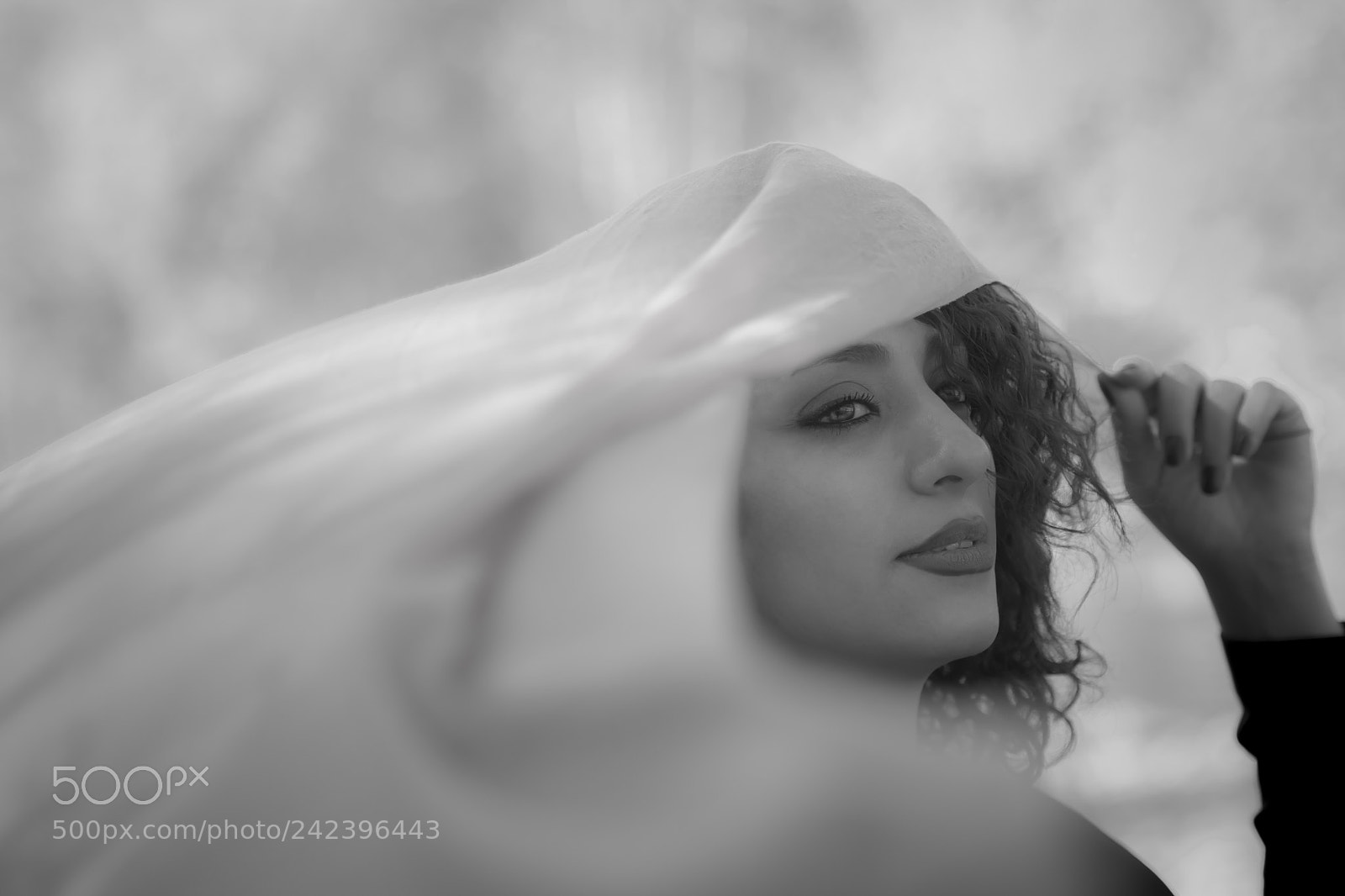 Nikon D7200 sample photo. Untitled photography