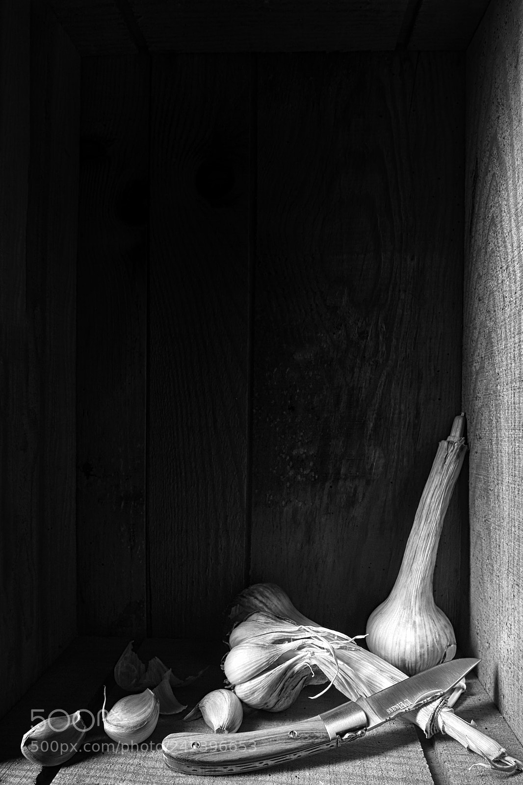 Sony SLT-A99V sample photo. Dans la réserve photography