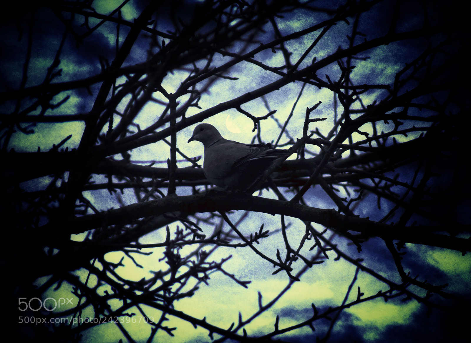 Nikon D3400 sample photo. Untitled photography