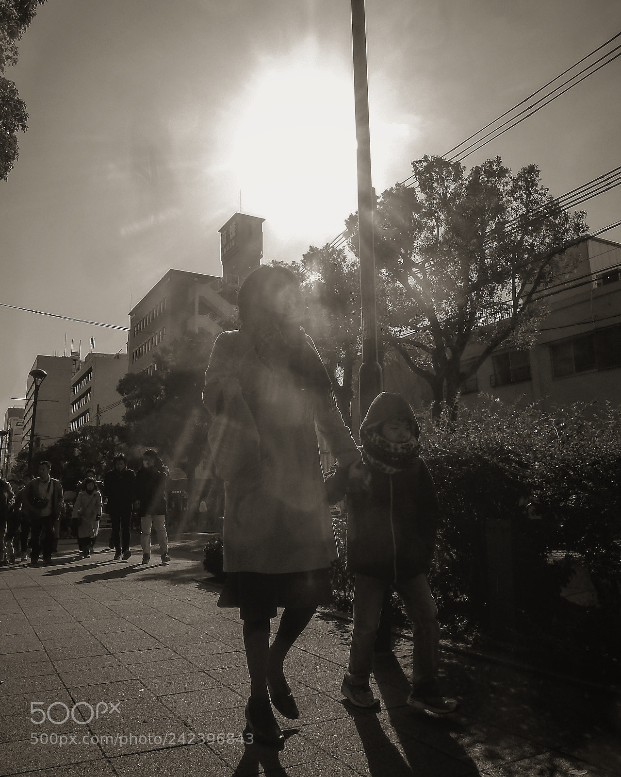 Panasonic Lumix DMC-ZS7 (Lumix DMC-TZ10) sample photo. Untitled photography