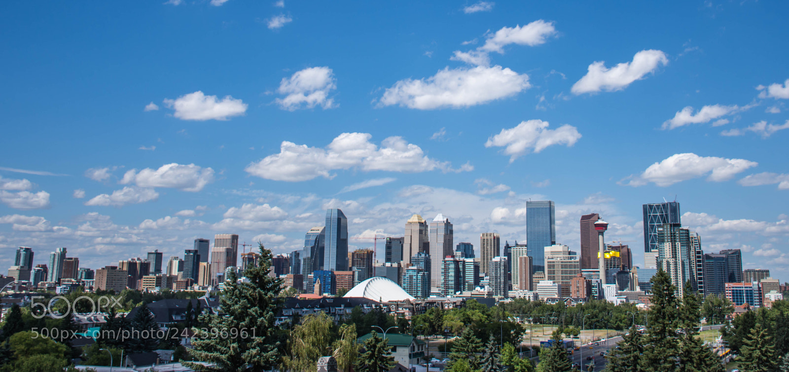 Nikon D7200 sample photo. Calgary photography