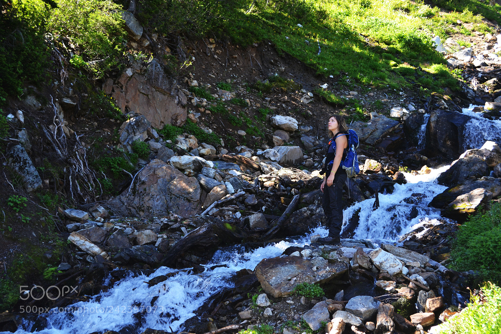 Nikon D3100 sample photo. Admire your surroundings photography