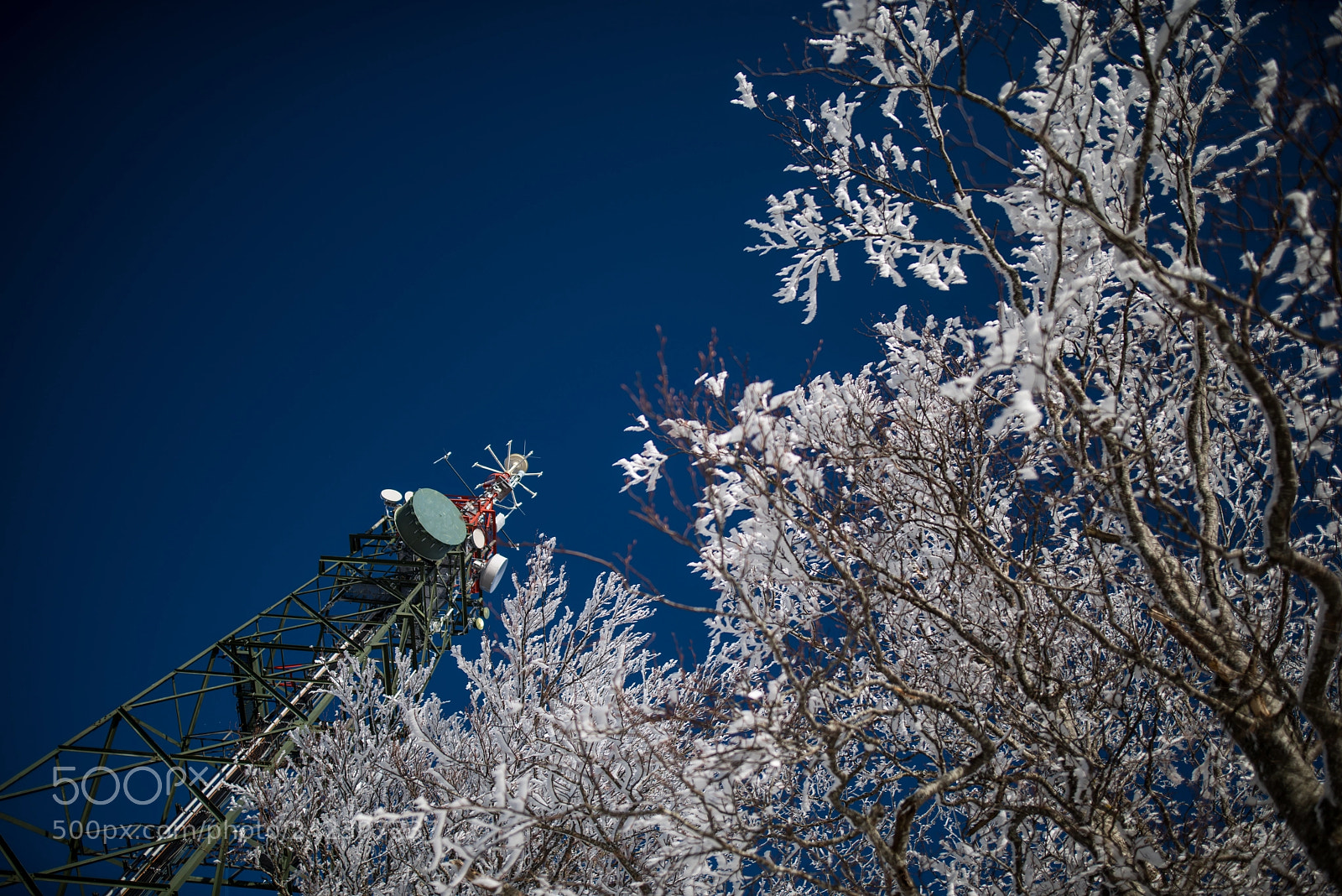 Nikon D810 sample photo. Untitled photography