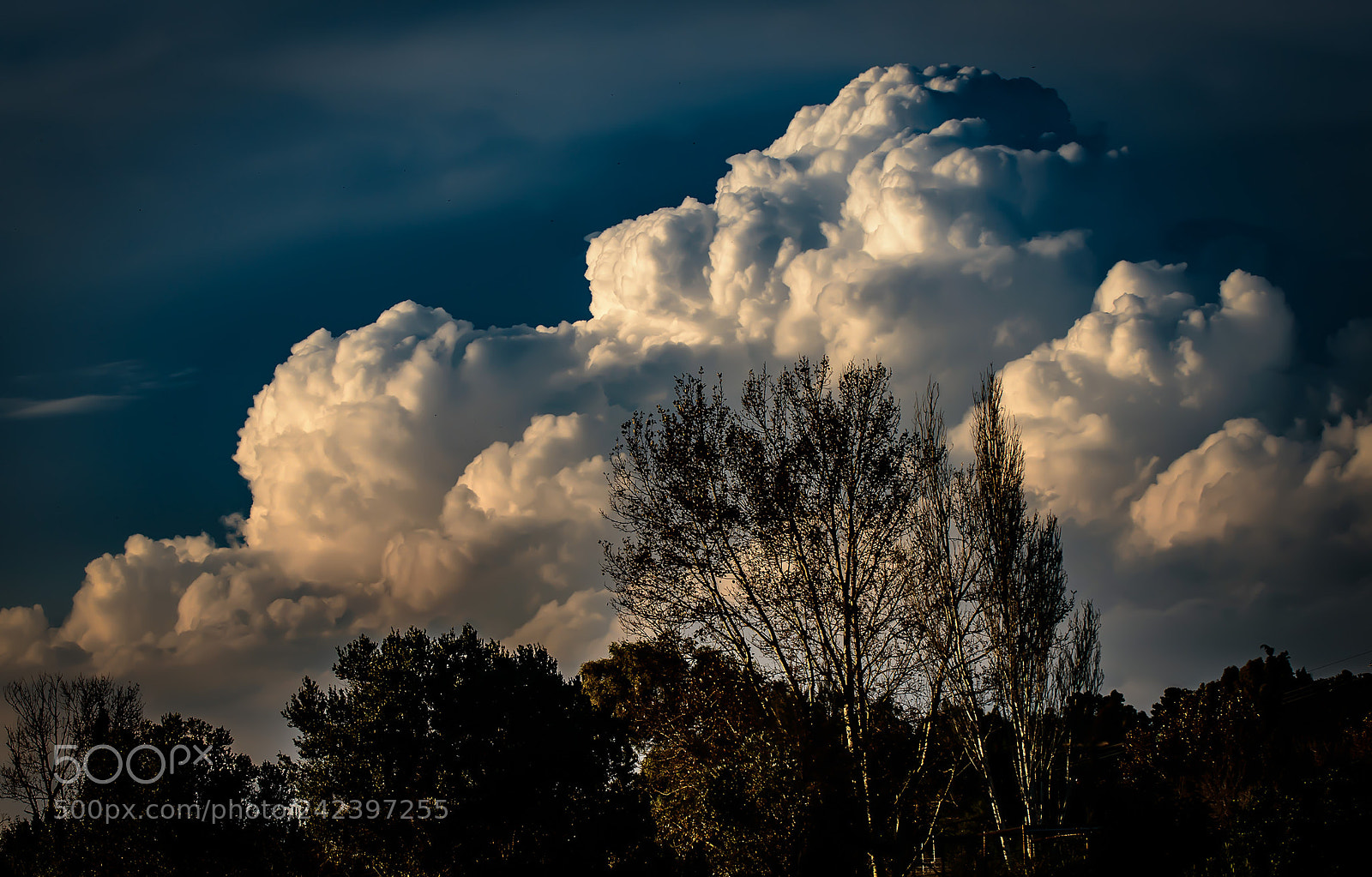 Nikon D800 sample photo. Storm clouds explode .... photography