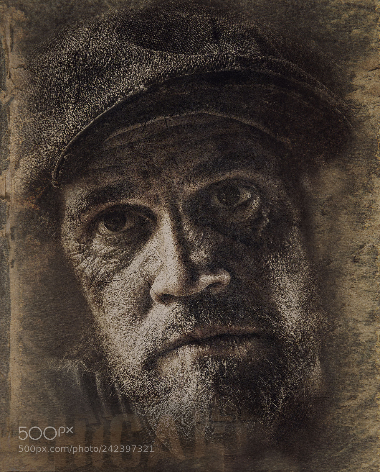 Nikon D800 sample photo. Chicago newsboy photography
