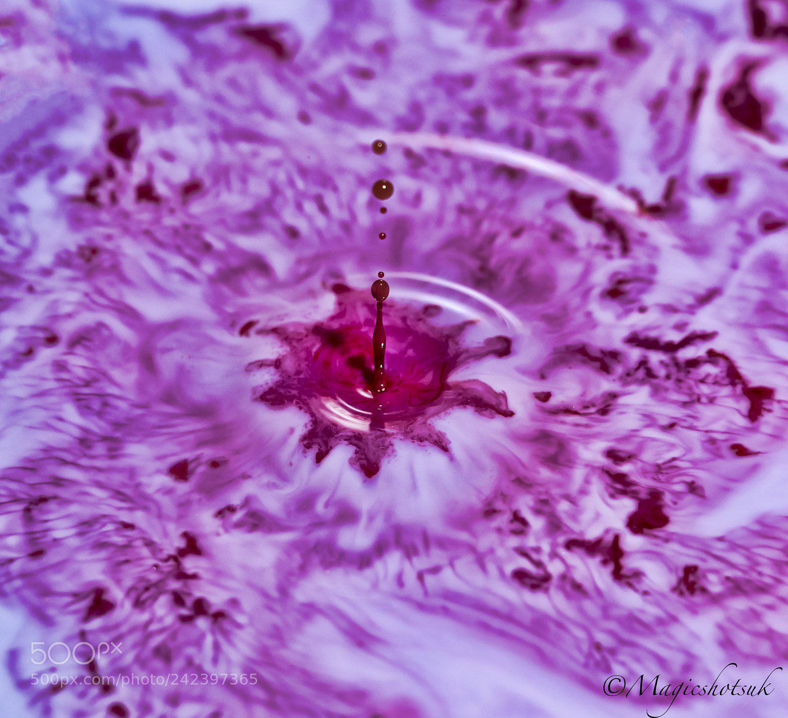 Olympus OM-D E-M1 Mark II sample photo. Colourful drops photography