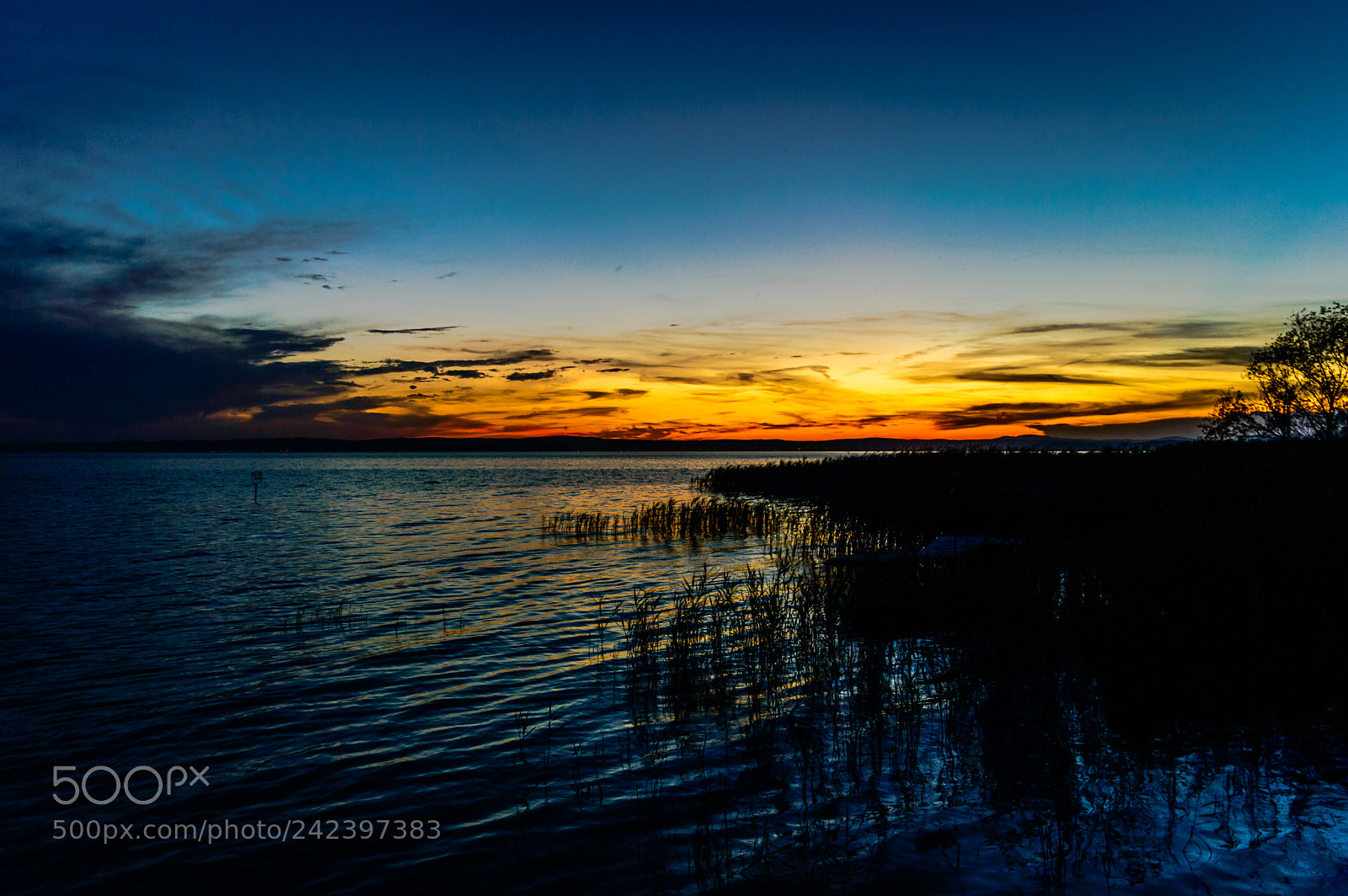 Nikon D3200 sample photo. Sunset photography