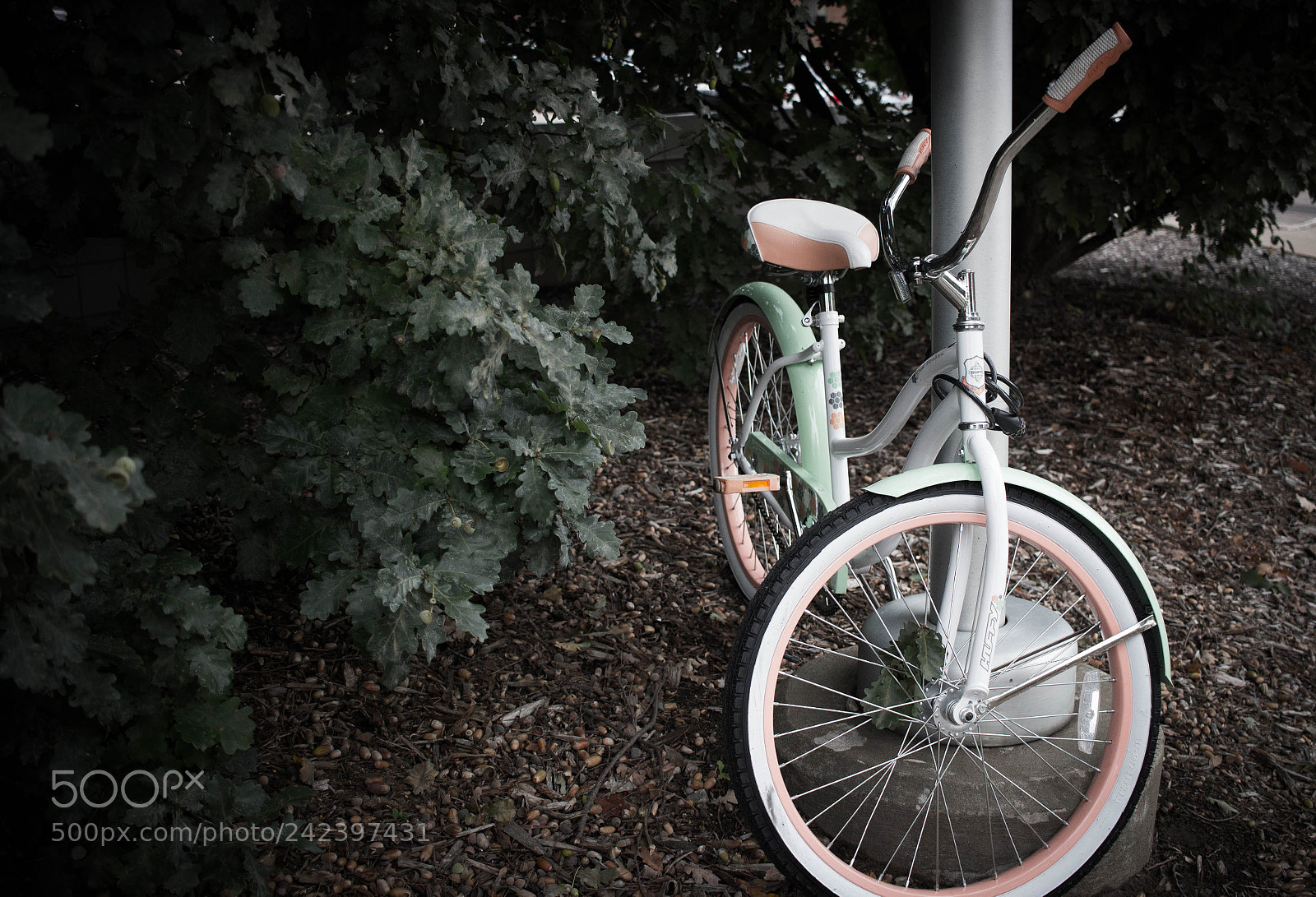 Canon EOS 100D (EOS Rebel SL1 / EOS Kiss X7) sample photo. Bike photography