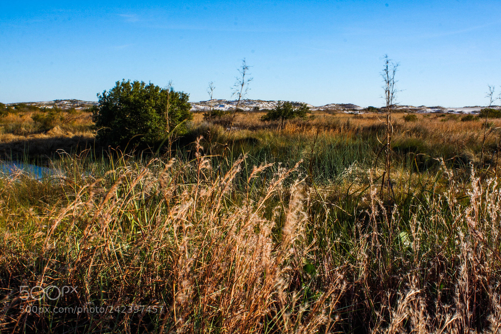 Canon EOS 40D sample photo. Faraway dunes photography