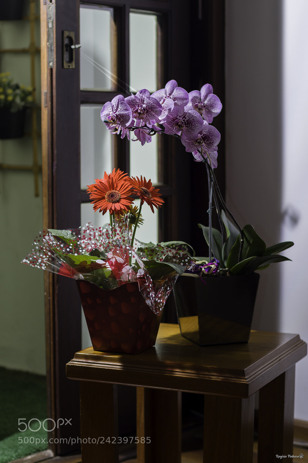 Canon EOS 7D Mark II sample photo. Flowers photography