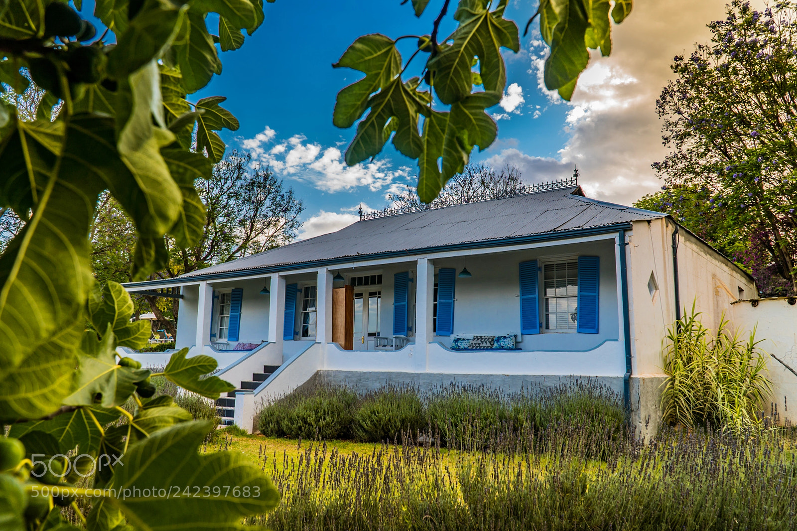 Sony a6500 sample photo. Swartberg manor house photography