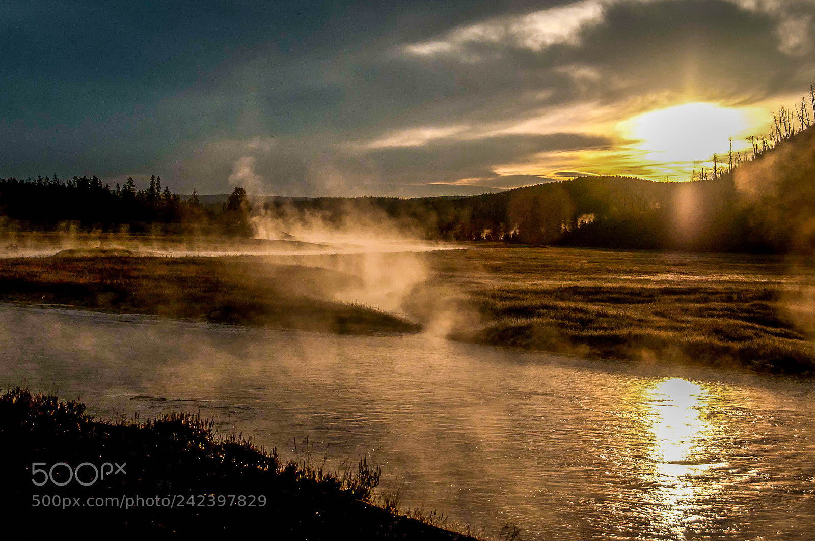 Nikon D300 sample photo. Morning mist in yellowstone photography