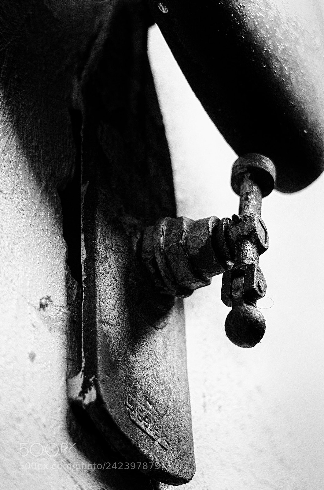 Pentax K-50 sample photo. Sound the alarm photography