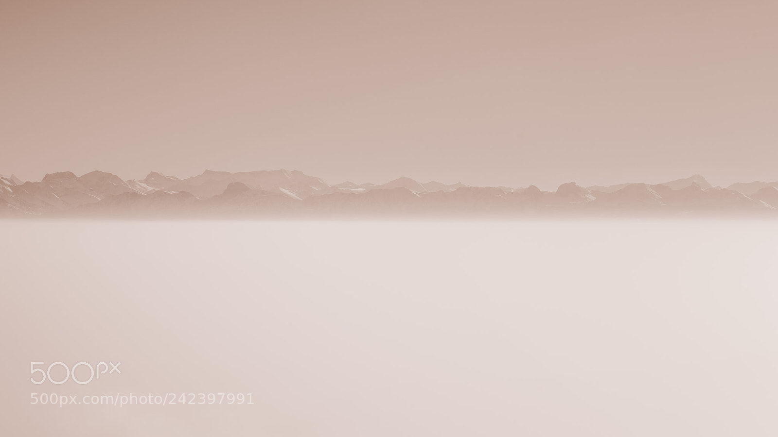 Nikon D810 sample photo. Untitled photography