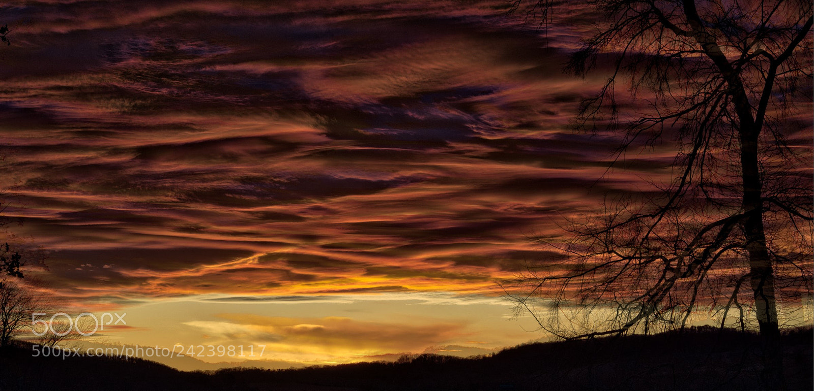 Nikon D5500 sample photo. Grainger county sunsets photography