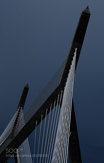 Nikon D60 sample photo. Td photography