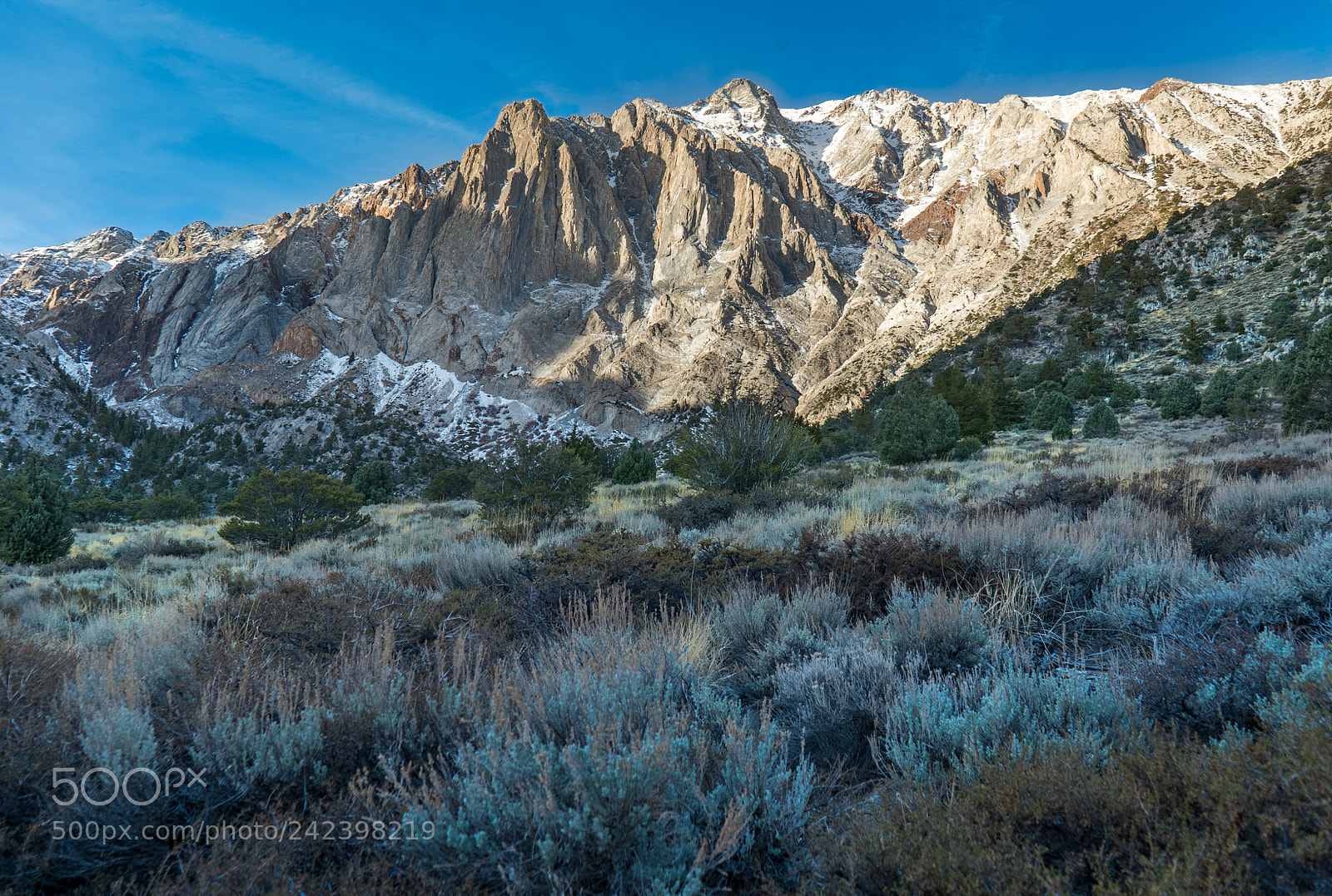 Sony a7S II sample photo. Convict lake - laurel photography