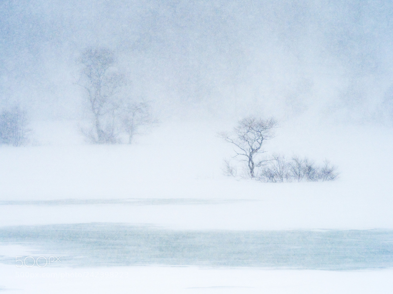 Olympus OM-D E-M1 Mark II sample photo. Heavy snowfall photography