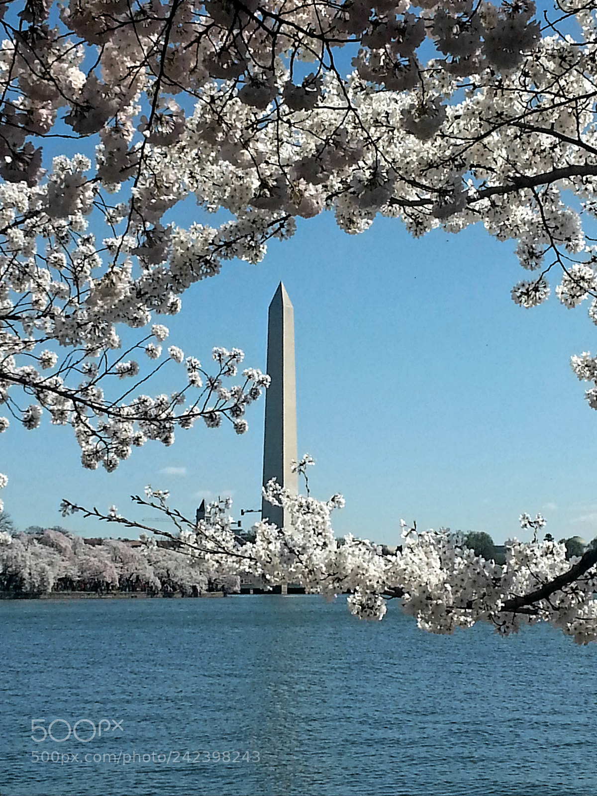 Samsung Galaxy S3 sample photo. Washington's memorial monument photography