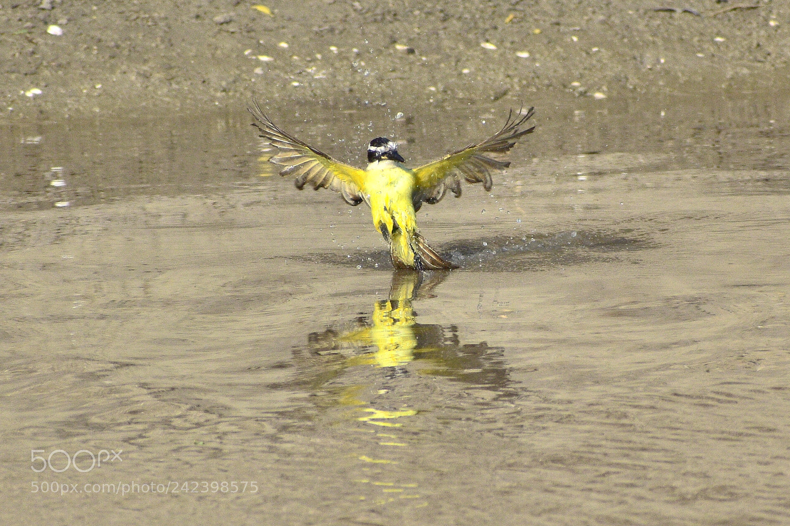 Nikon D5600 sample photo. Fishing 2 photography
