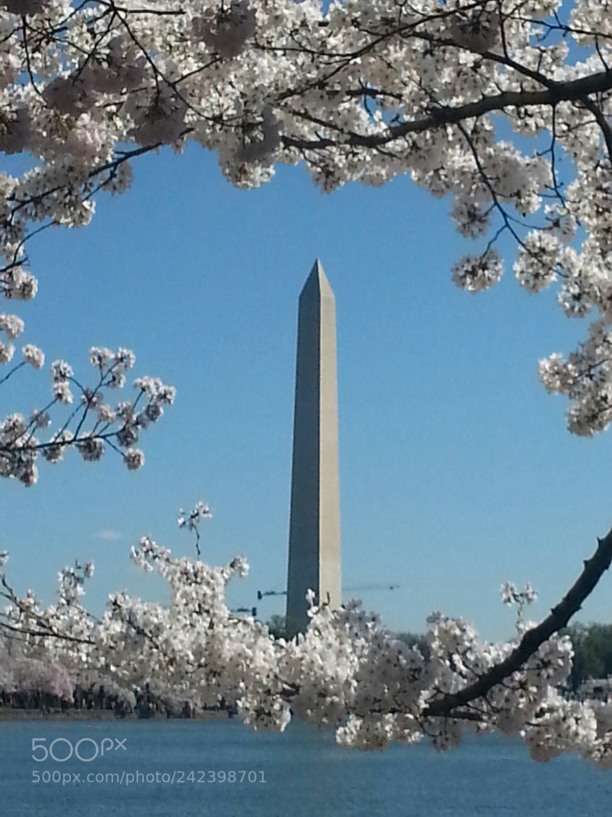 Samsung Galaxy S3 sample photo. Washington's memoria l monument photography