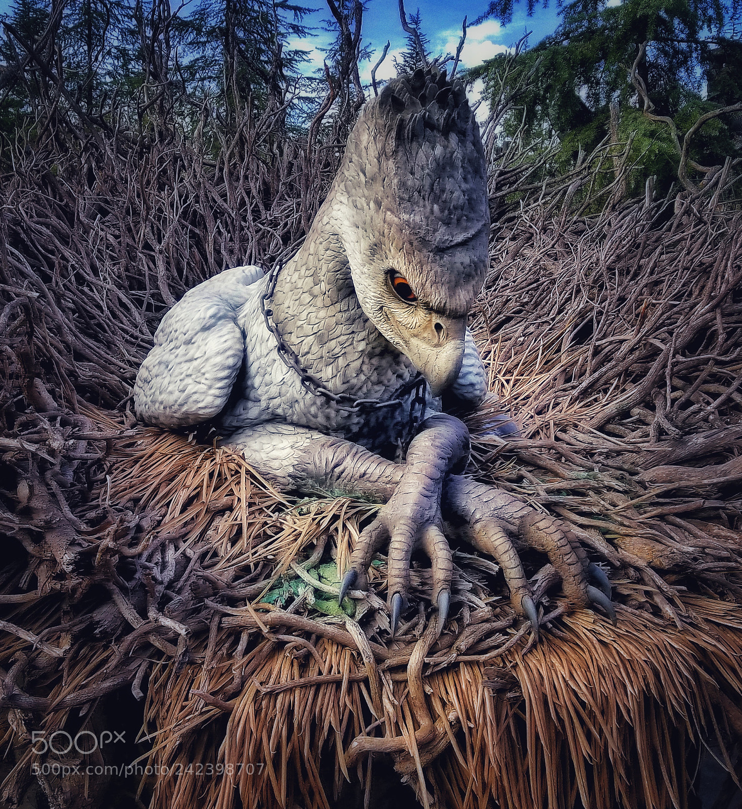 Samsung Galaxy S8 sample photo. Buckbeak photography