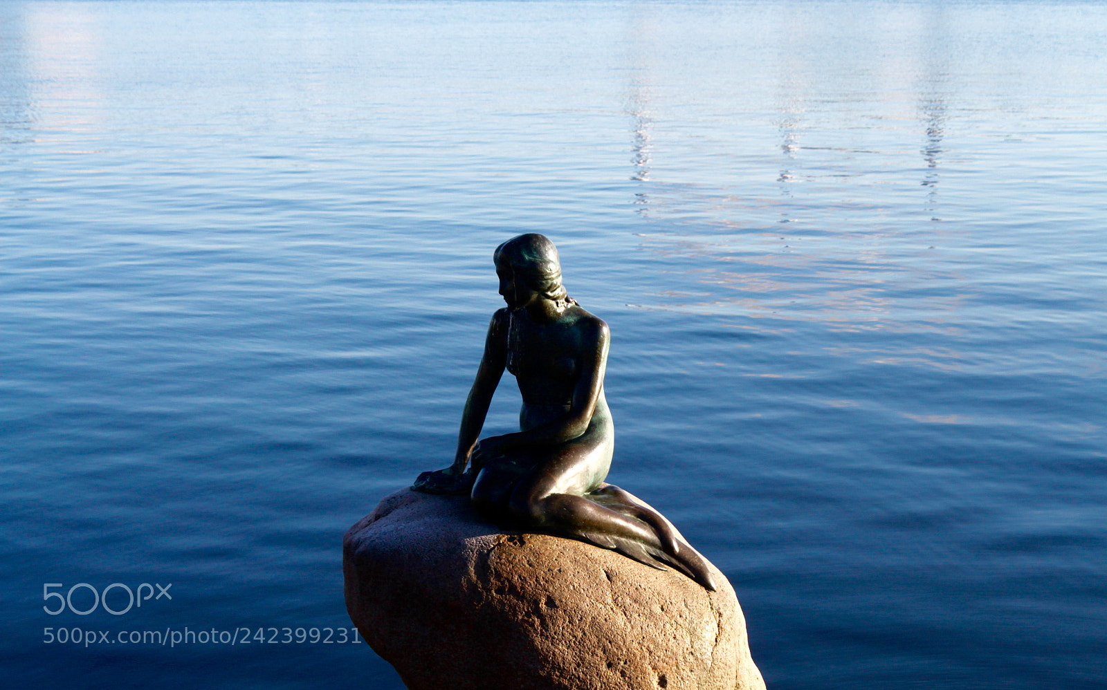 Canon EOS 500D (EOS Rebel T1i / EOS Kiss X3) sample photo. The little mermaid photography
