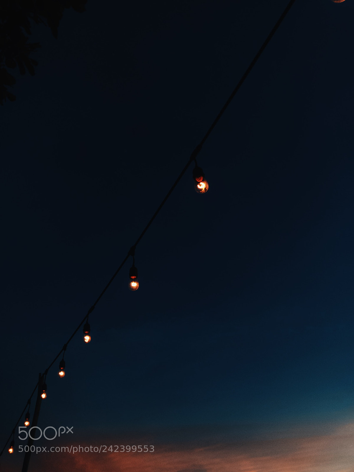 Apple iPhone 7 sample photo. Processed with vsco with photography