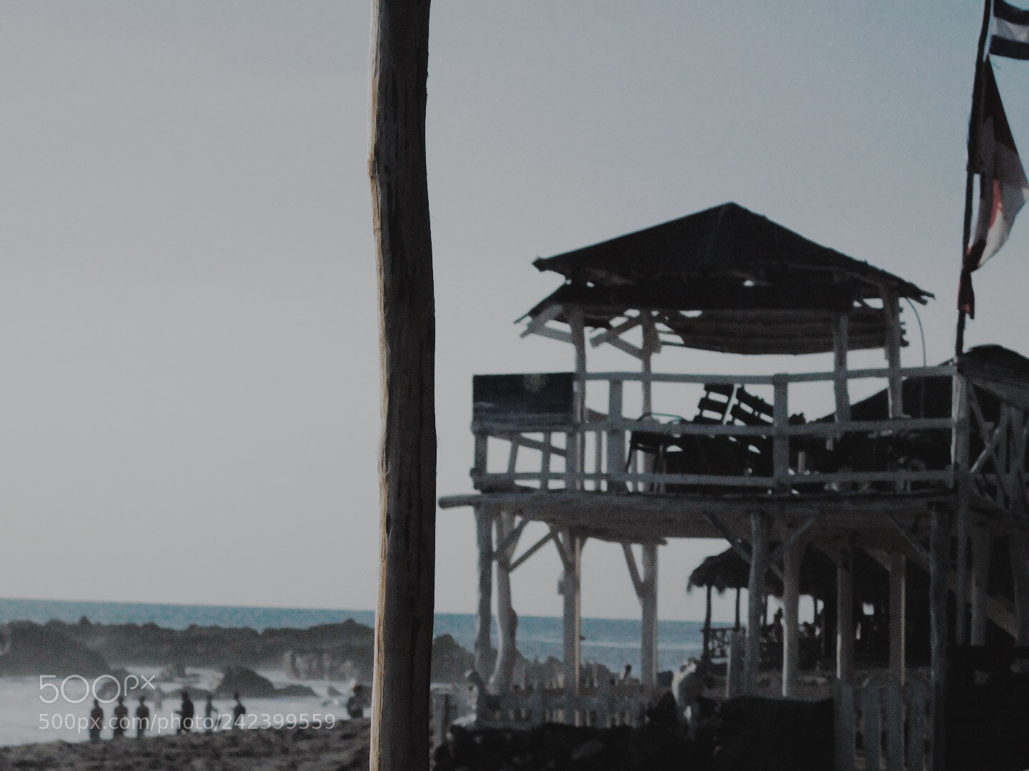 Nikon Coolpix B500 sample photo. Processed with vsco with photography