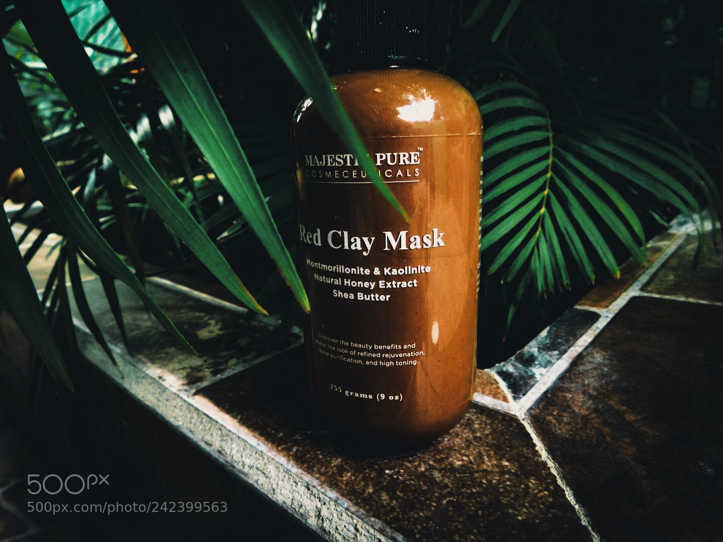 Nikon Coolpix B500 sample photo. Processed with vsco with photography