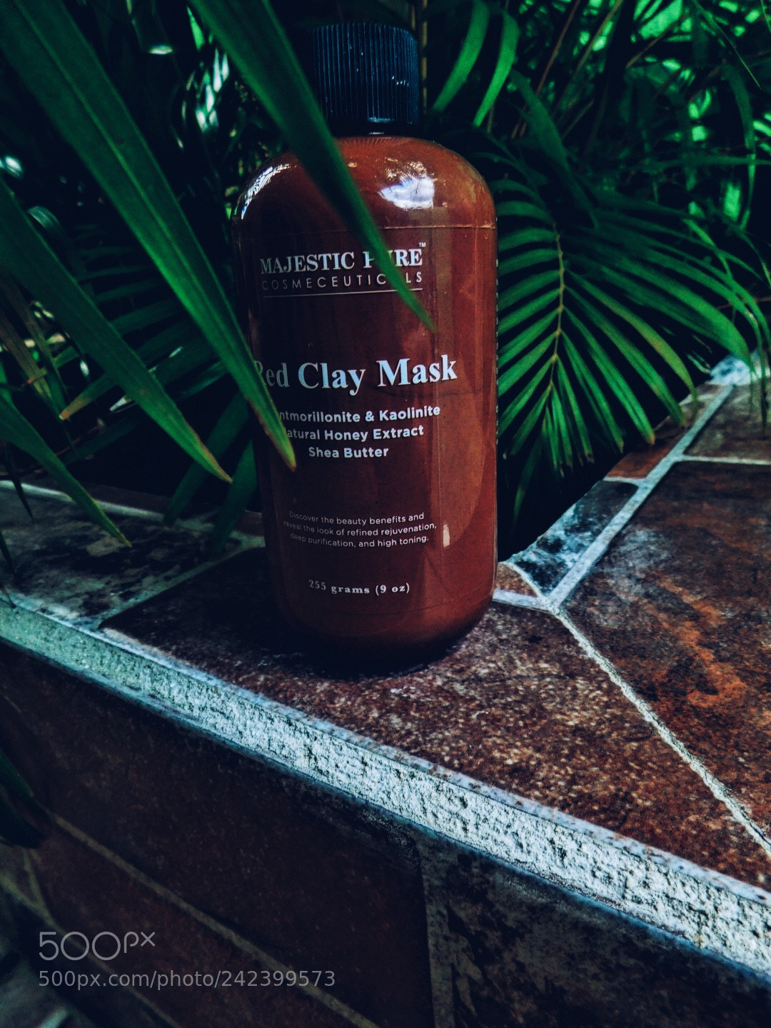 Nikon Coolpix B500 sample photo. Processed with vsco with photography